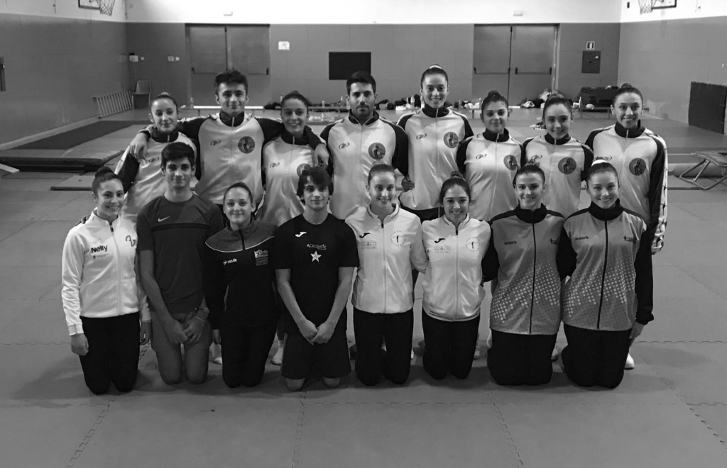 gymnastes