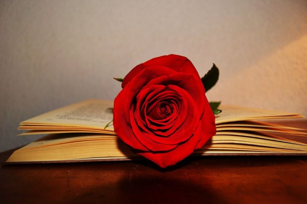 sant jordi