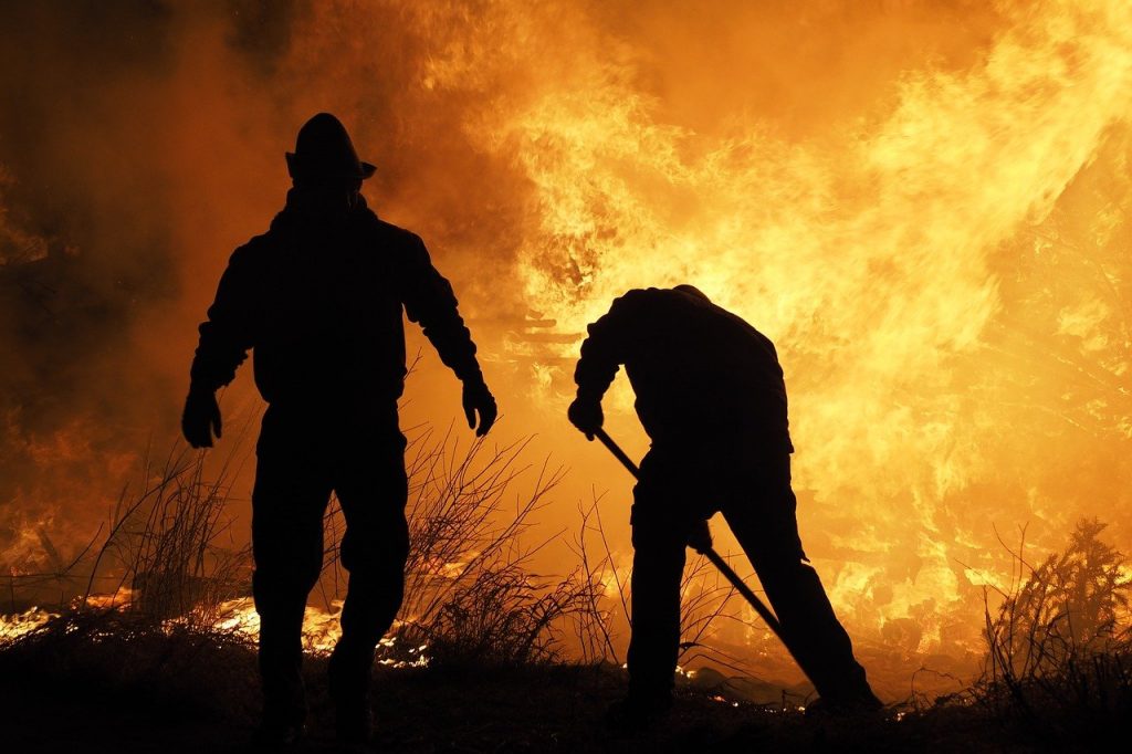 incendis collserola