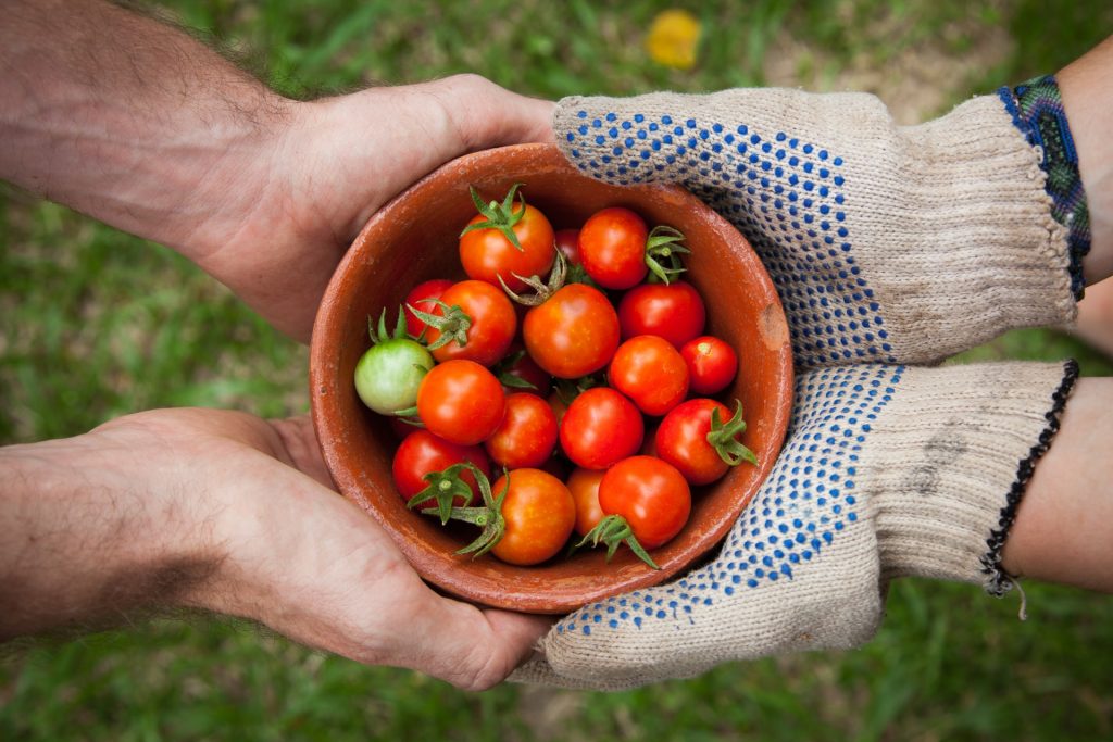 Alimentació sostenible