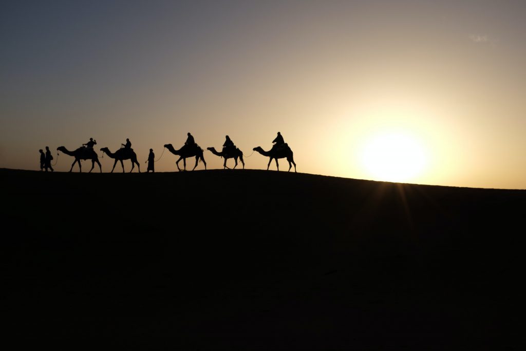 cavalcades