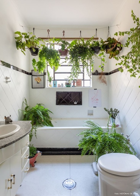 plantes